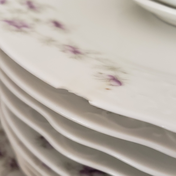 Altrohla Austria 10 Dinner Plates , 10 Salad plates ,4 Decorative plates . - Picture 12 of 13